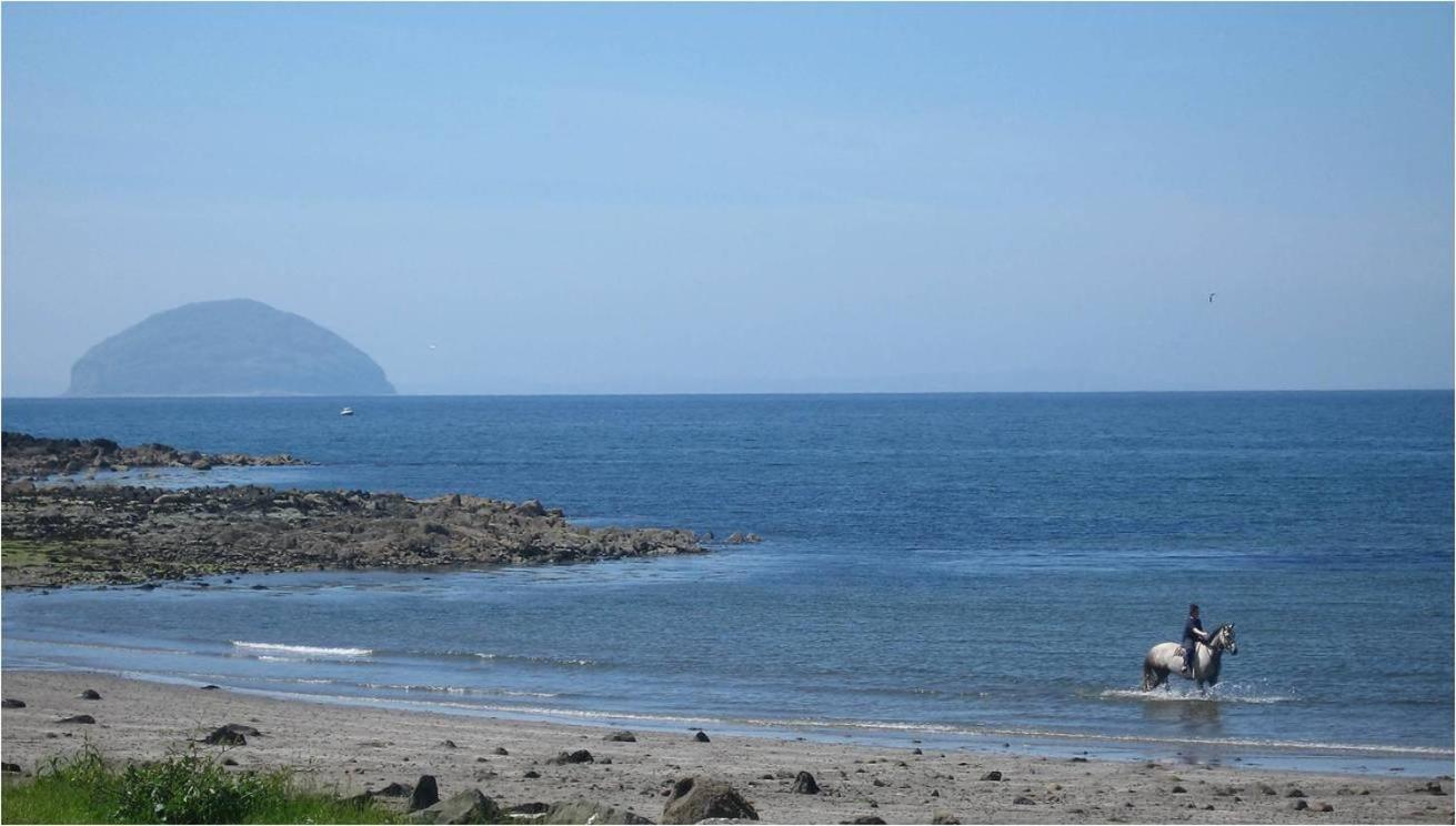 Woodland Bay Hotel Girvan Zewnętrze zdjęcie