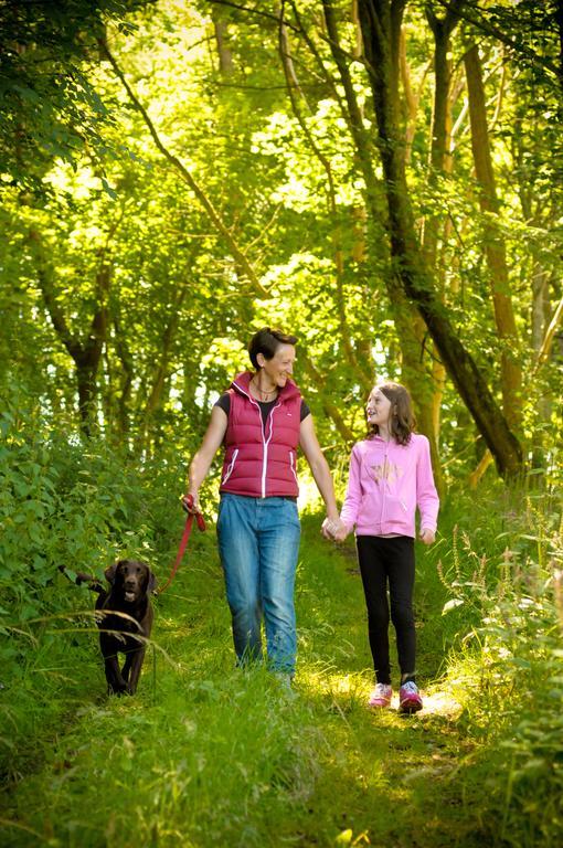 Woodland Bay Hotel Girvan Zewnętrze zdjęcie